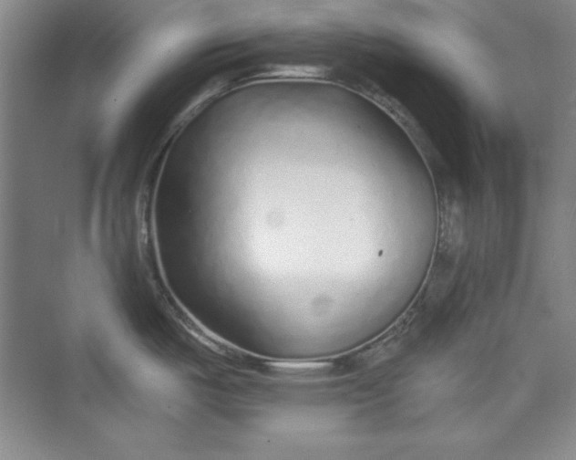 X0000075401487200609251005