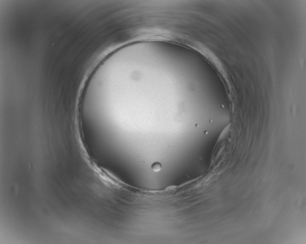 X0000075401488200609251005