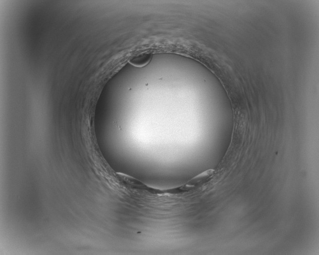 X0000075401489200609251004