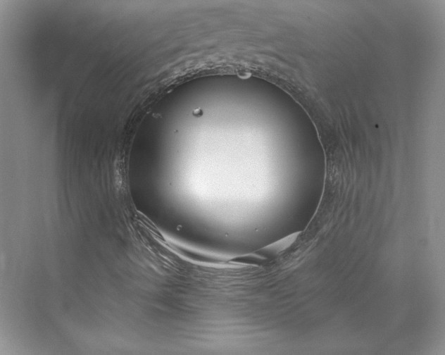 X0000075401490200609251004