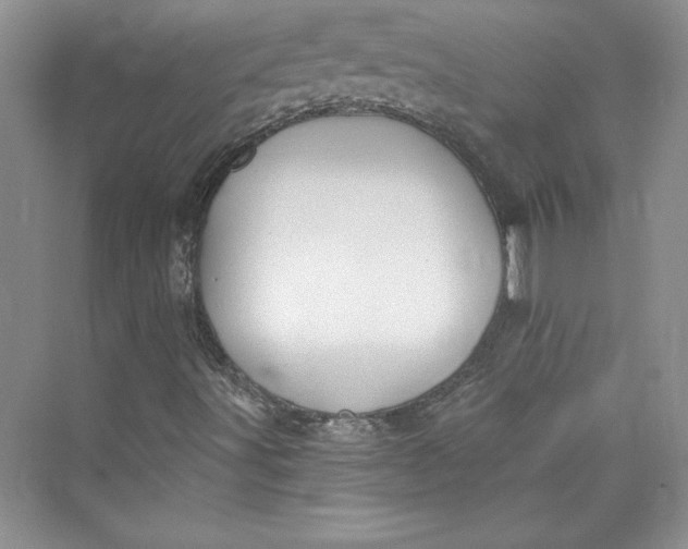 X0000075401491200609251004