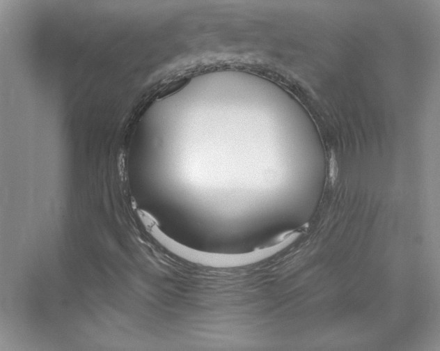 X0000075401492200609251004