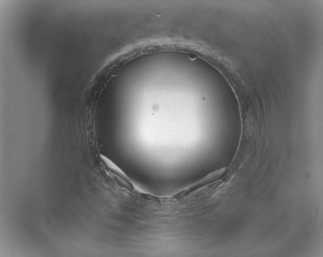 X0000075401494200609251004