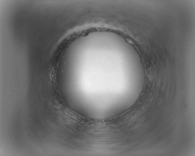 X0000075401495200609251004