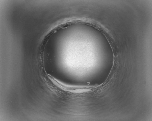 X0000075401496200609251005