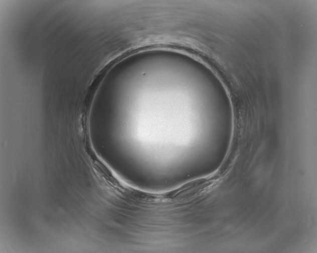 X0000075401497200609251005