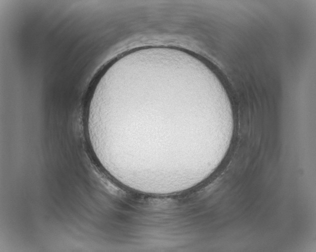 X0000075401498200609251005