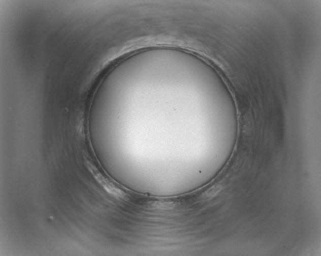 X0000075401499200609251005