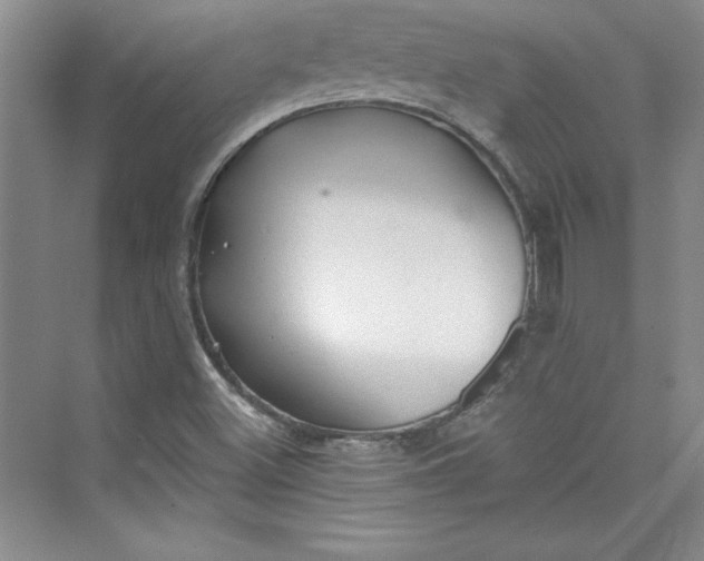 X0000075401500200609251005