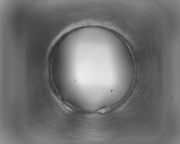 X0000075401502200609251005