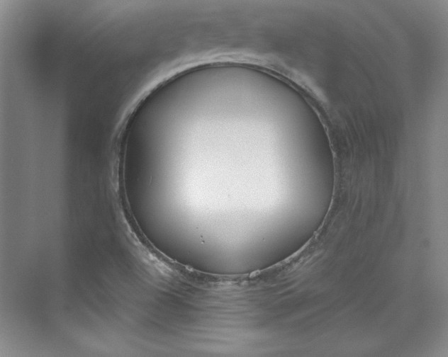 X0000075401504200609251005