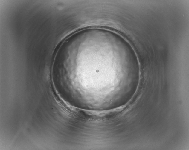 X0000075401505200609251005