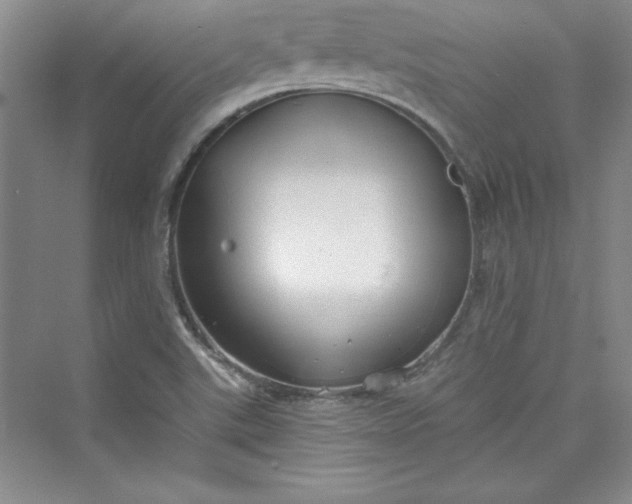 X0000075401507200609251005