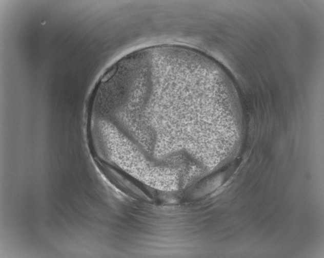 X0000075401508200609251005