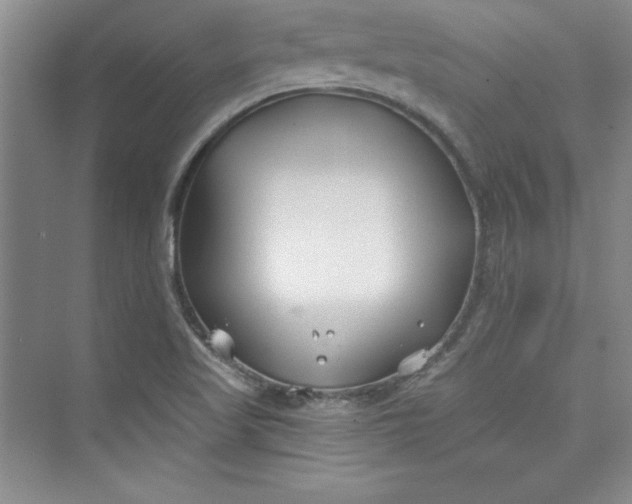 X0000075401509200609251005