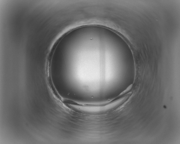 X0000075401510200609251005