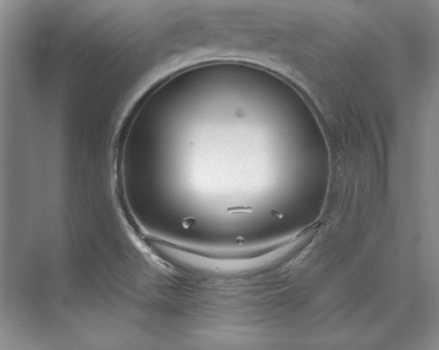 X0000075401511200609251005