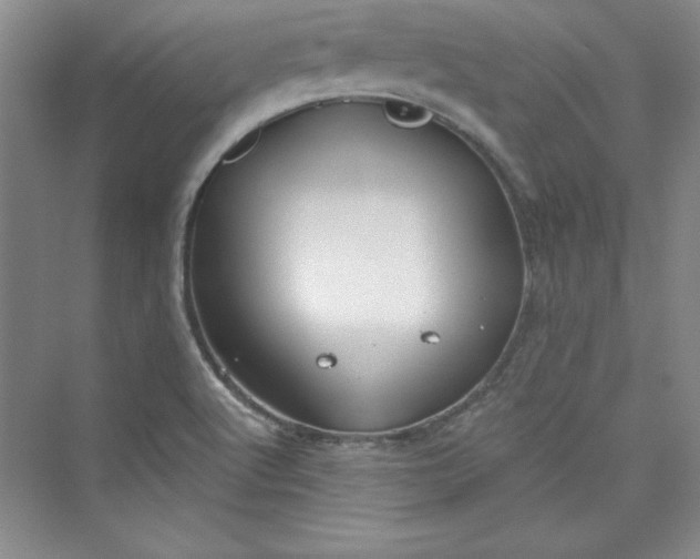 X0000075401512200609251005