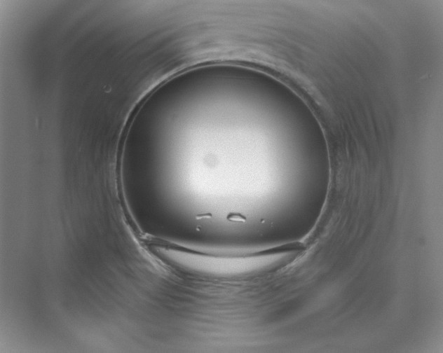 X0000075401513200609251005