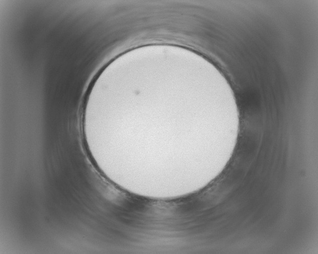 X0000075401514200609251005