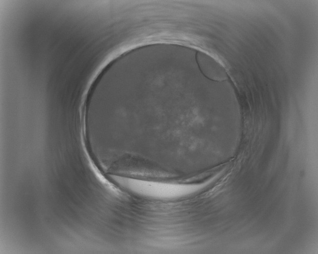 X0000075401515200609251005