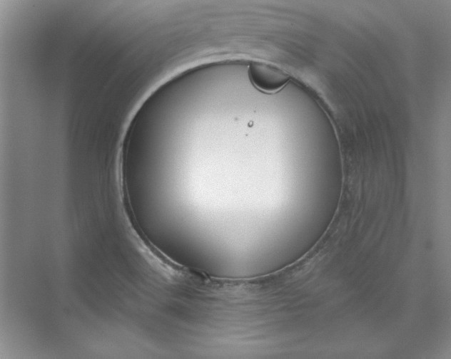 X0000075401516200609251005