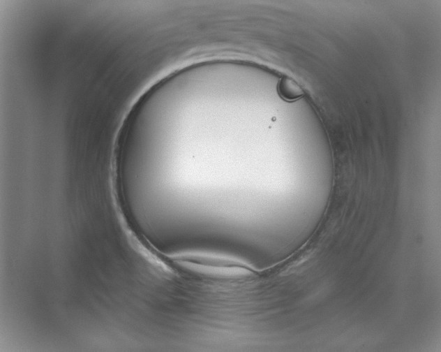 X0000075401518200609251005