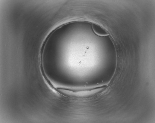 X0000075401519200609251005