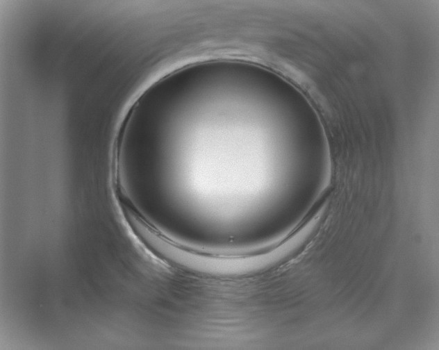 X0000075401520200609251005