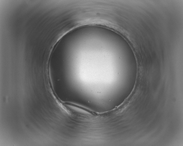 X0000075401521200609251005