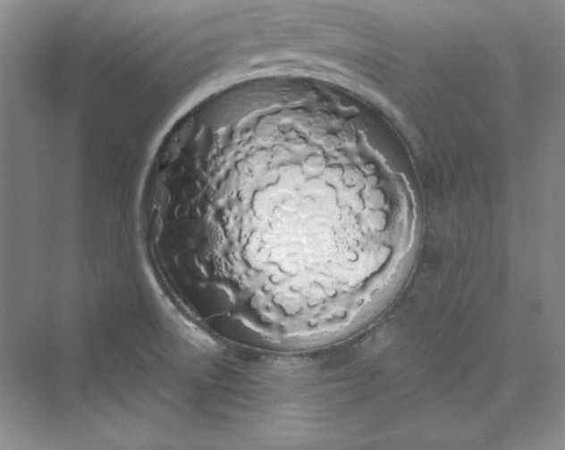 X0000075401522200609251005