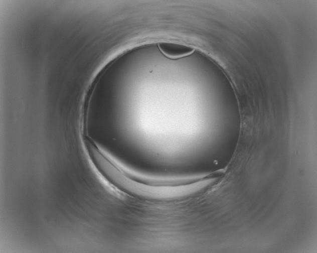 X0000075401523200609251005