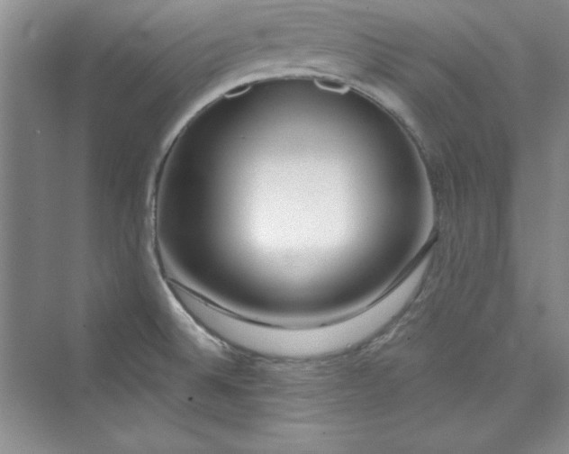 X0000075401524200609251005