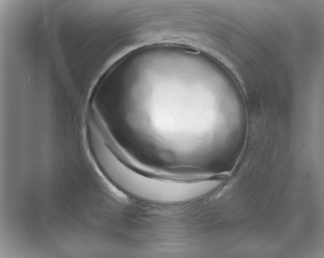 X0000075401525200609251005