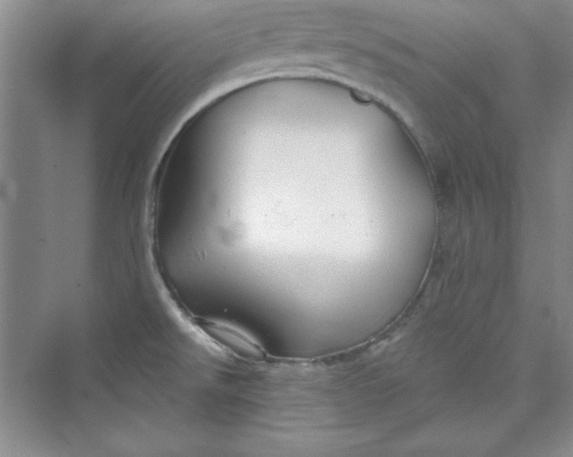 X0000075401526200609251005