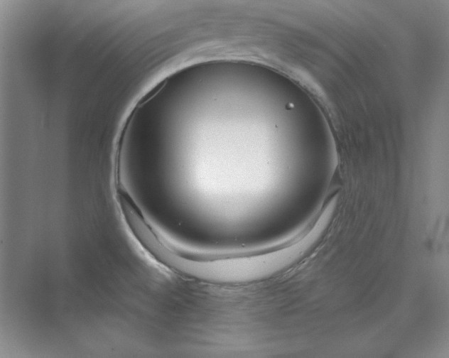 X0000075401528200609251005