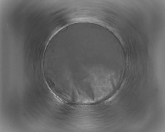 X0000075401529200609251005