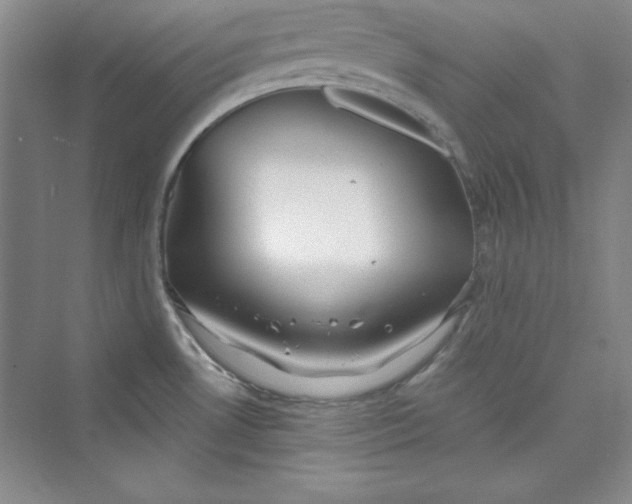 X0000075401530200609251005