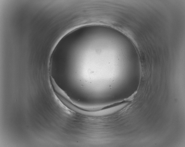 X0000075401532200609251005