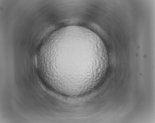 X0000075400022200609291652