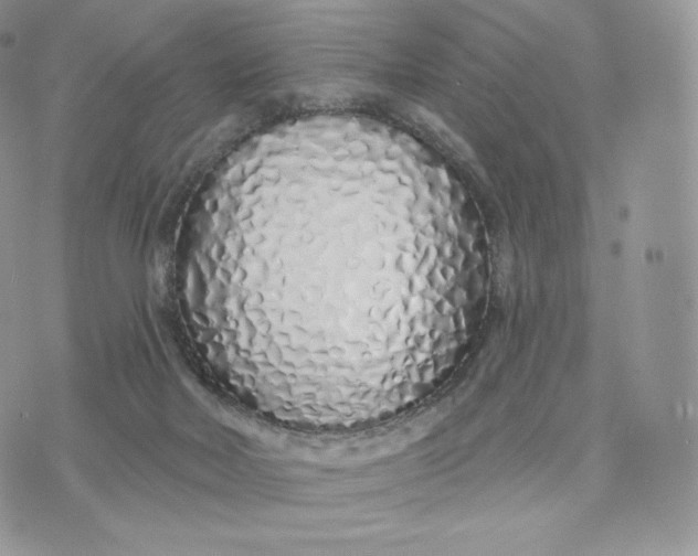 X0000075400026200609291652