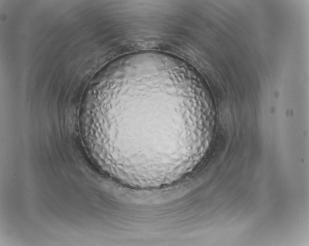 X0000075400030200609291652