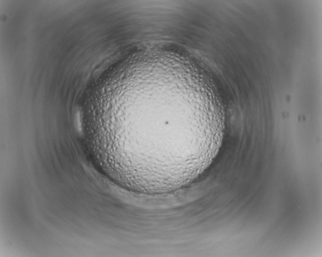 X0000075400042200609291652