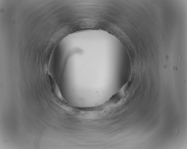 X0000075400045200609291652