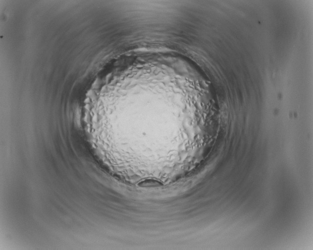 X0000075400046200609291652