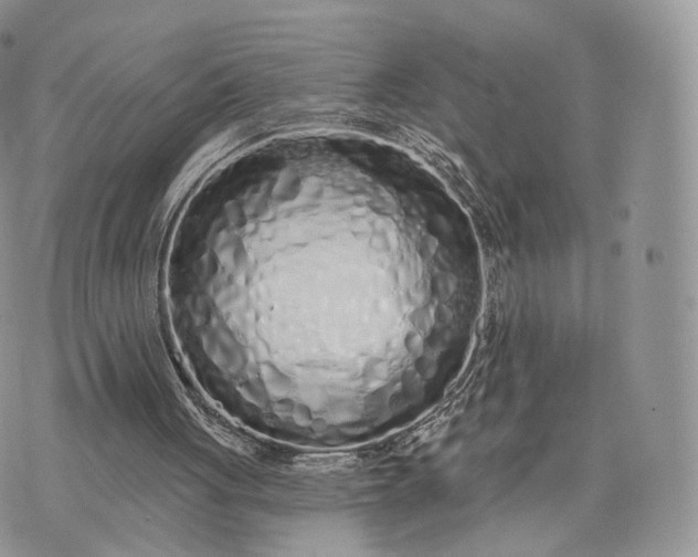 X0000075400051200609291651