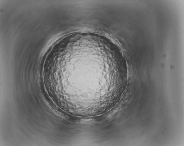 X0000075400055200609291651