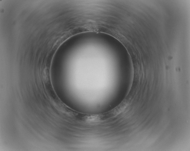 X0000075400088200609291652