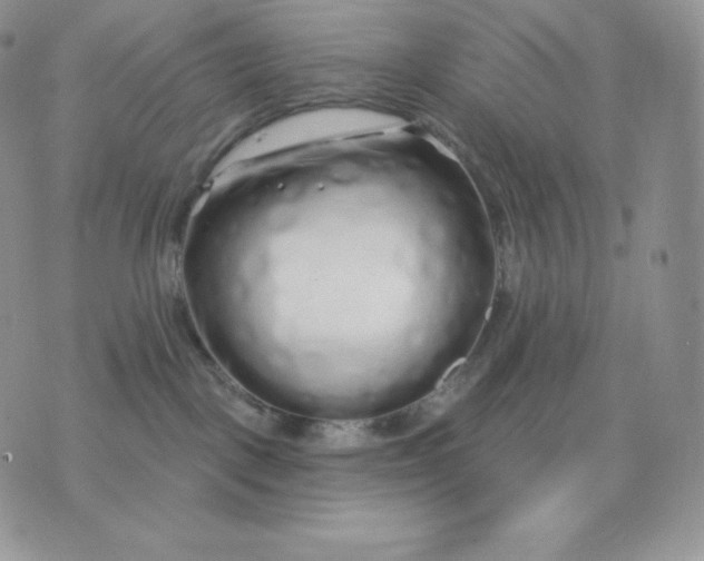 X0000075400093200609291652
