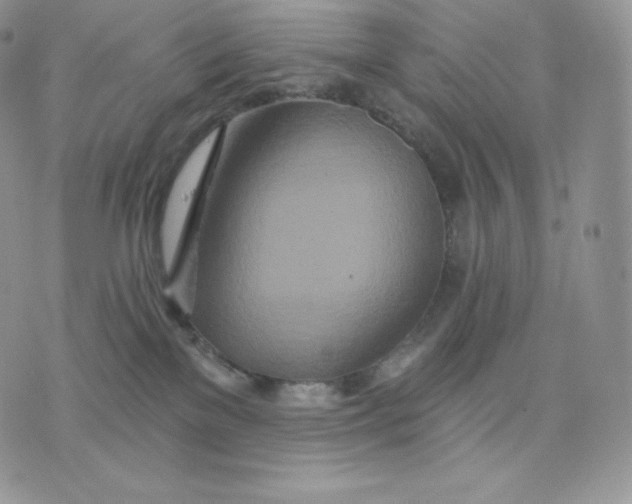 X0000075400137200609291651